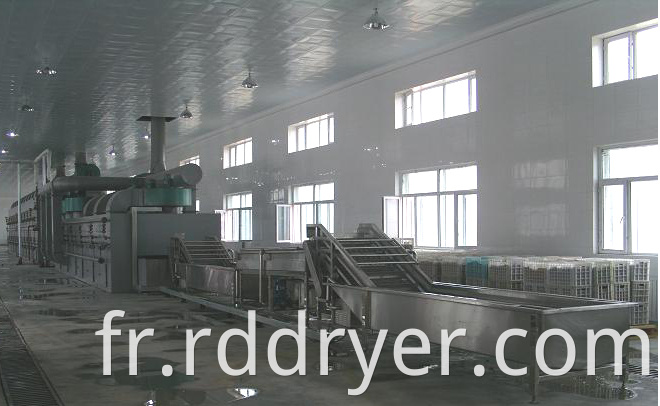 Mushroom Dryer Machine/drying machine